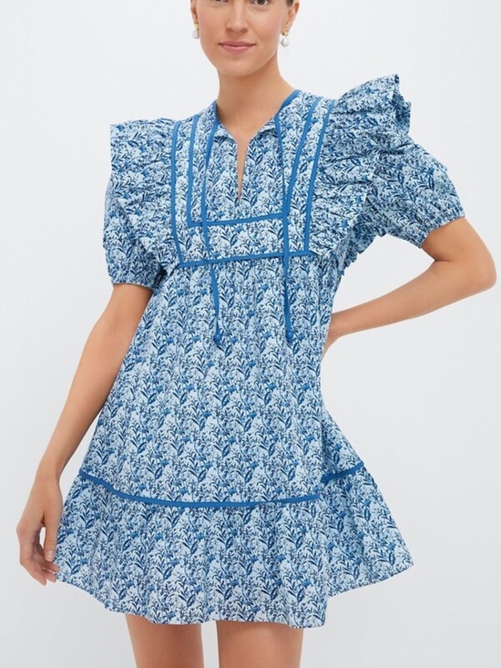 Tuckernuck Dresses & Skirts - Tuckernuck Blue Floral Mini Dress Medium Coastal Grandmillennial Puff Sleeve